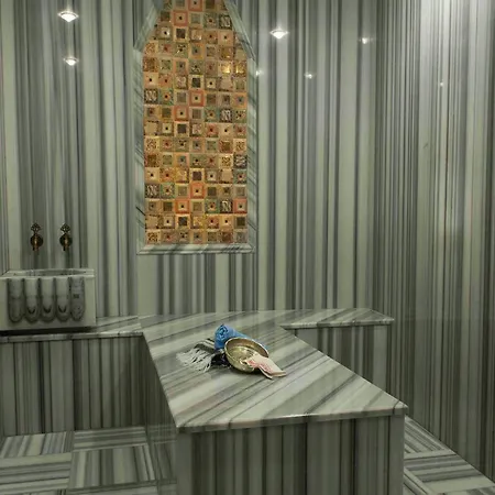 Medikal Termal Otel