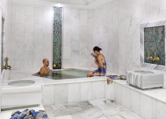 Medikal Termal Istanboel