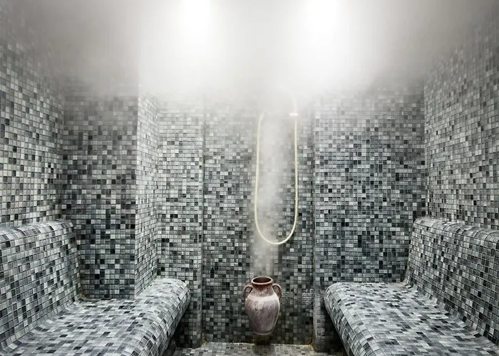 Hotel Medikal Termal 4*