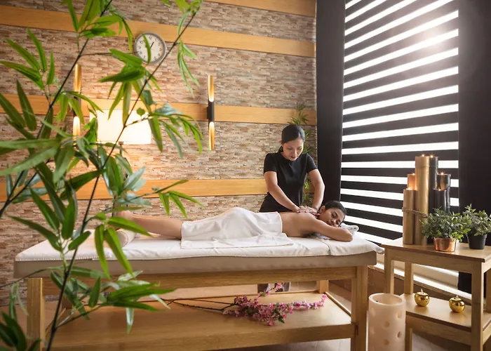 Hotel Medikal Termal 4*