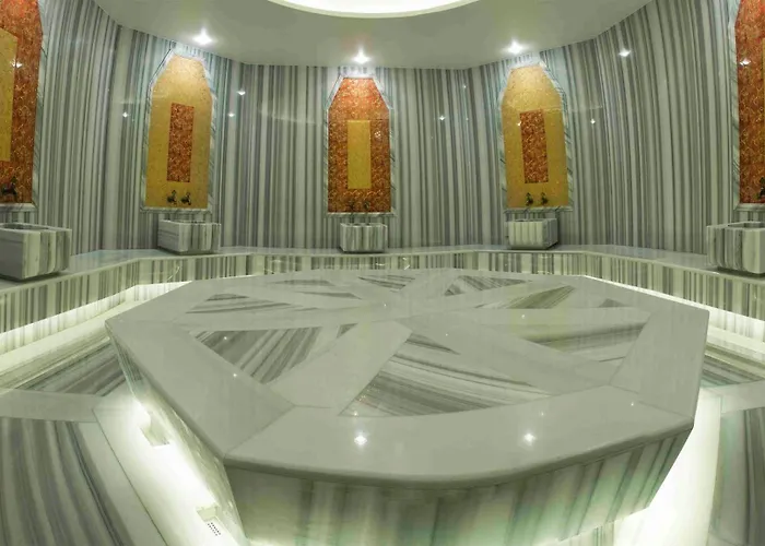 Hotel Medikal Termal 4*