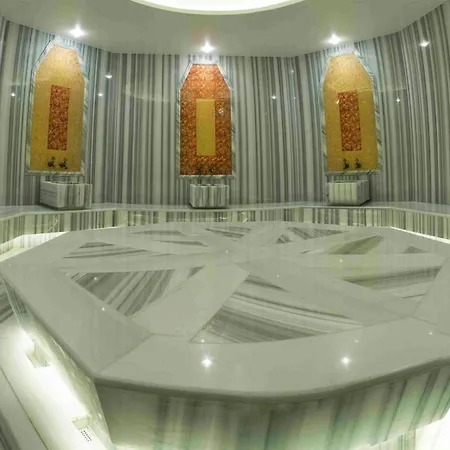 Hotel Medikal Termal 4*