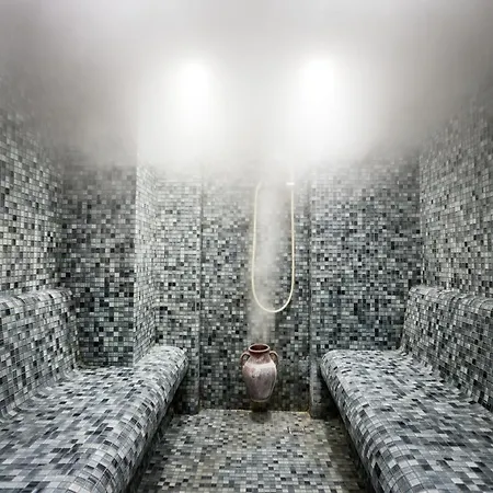 Отель Medikal Termal 4*